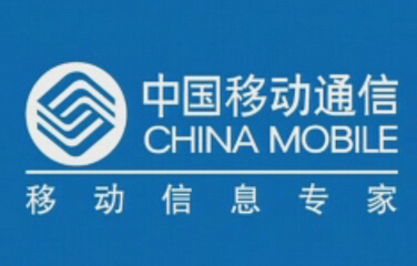 收入证明_董事费收入(3)