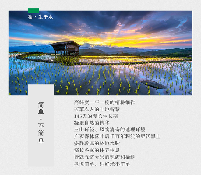 小饭围创意文案——一粒有态度的大米,每天都在认真生活!