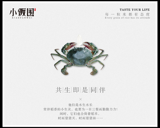 小饭围创意文案——一粒有态度的大米,每天都在认真生活!
