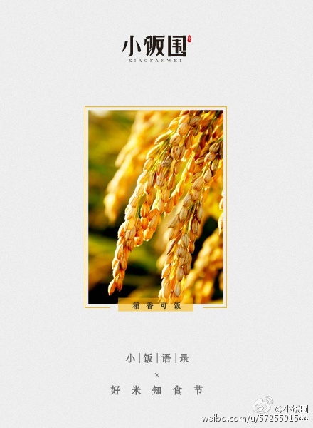 小饭围创意文案——一粒有态度的大米,每天都在认真生活!