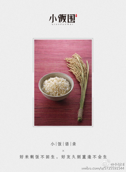 小饭围创意文案——一粒有态度的大米,每天都在认真生活!