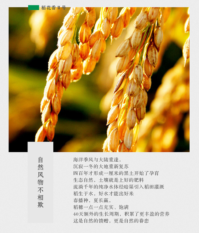 小饭围创意文案——一粒有态度的大米,每天都在认真生活!