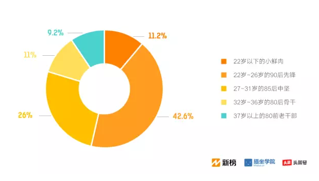 人口年轻化的缺点_人口普查(3)