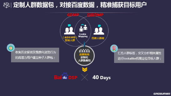 Gridsum DMP系统正式推出，国双精准营销体系再添强力一环(图3)